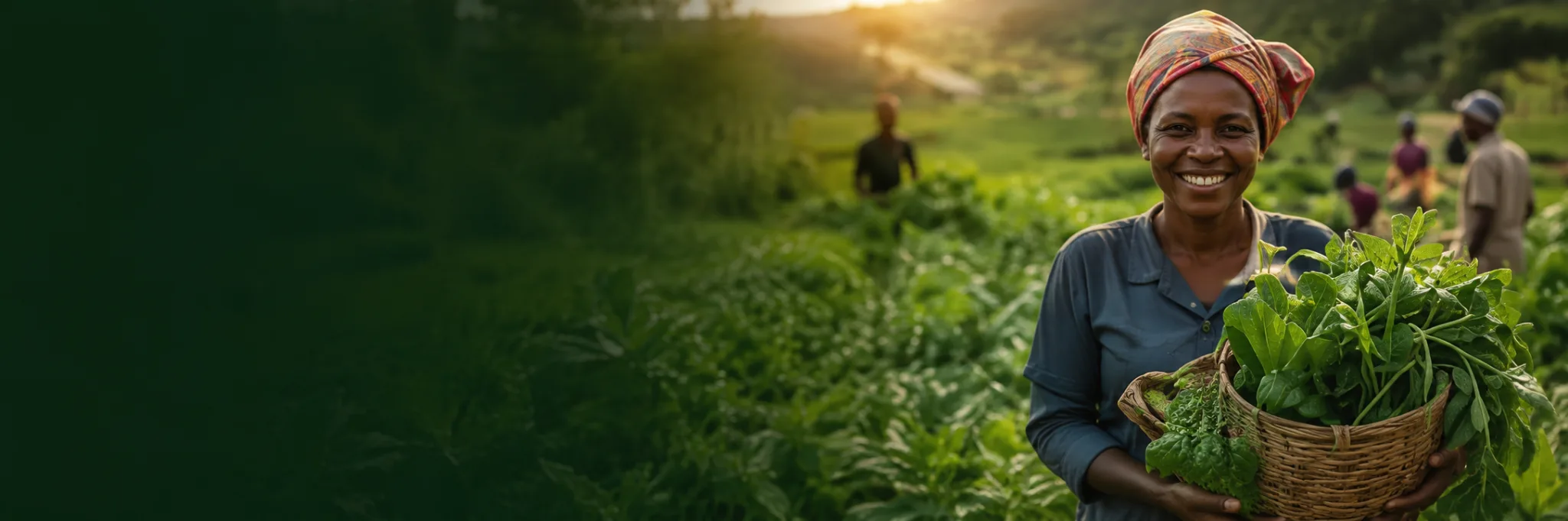 Ugandan woman farmer holding fresh vegetables in a green field